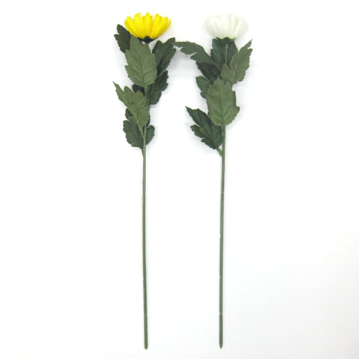 菊の花 zo56at_1200x1200.jpg?v=1632818679