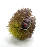 造花 イガ栗（毬栗）の実 - フェイクフルーツ・果物