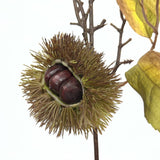 造花 イガ栗（毬栗）の枝