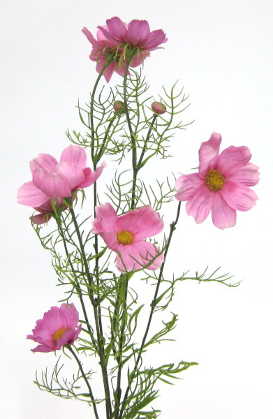 豪華で新しい 5本セット コスモス 造花 - 日本の四季・行事の店 – 秋桜 秋の花 アクセサリー